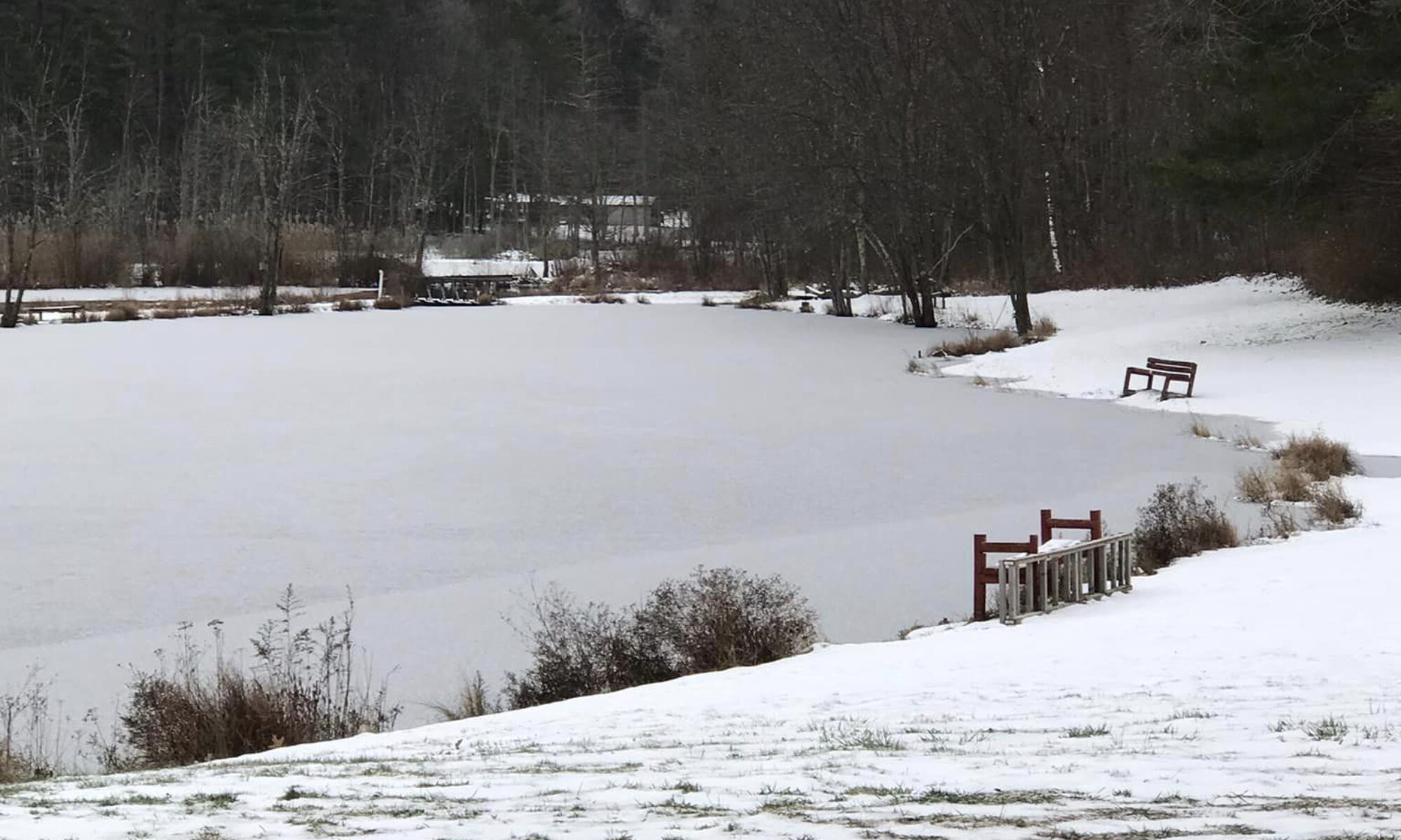 Hall Grounds – Auburn Sportsman's Club